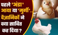 Egg came First or Hen पता चल गया, रहस्य जान चौंक जाएंगे | Pehle Anda aaya ya Murgi | वनइंडिया हिंदी