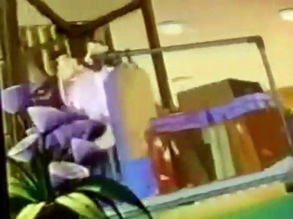 Marsupilami 1993 Marsupilami 1993 E010 Fear of Kites