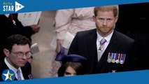 Prince Harry : cette raison pour laquelle il a sauté dans un avion directement après le couronnement