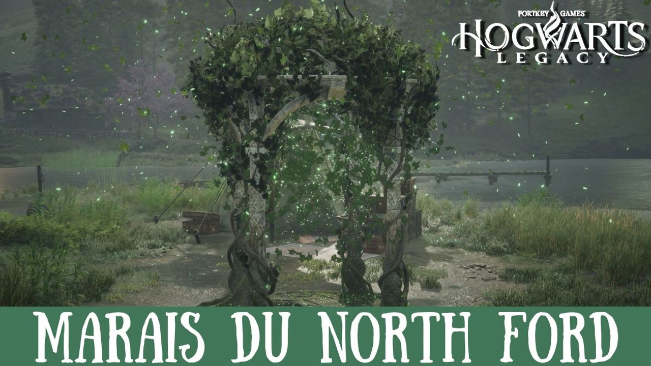 Défi de Merlin Hogwarts Legacy, Marais du North Ford : Comment résoudre toutes les énigmes de la région ?