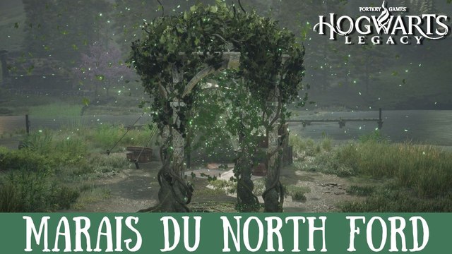 Défi de Merlin Hogwarts Legacy, Marais du North Ford : Comment résoudre toutes les énigmes de la région ?