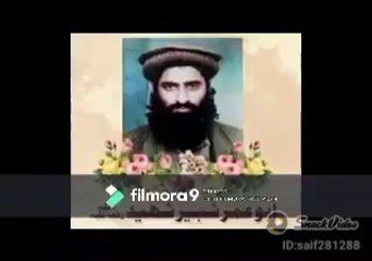 mari jwania shabab kaha loty