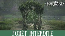 Défi de Merlin Hogwarts Legacy, Forêt interdite : Comment résoudre toutes les énigmes de la région ?