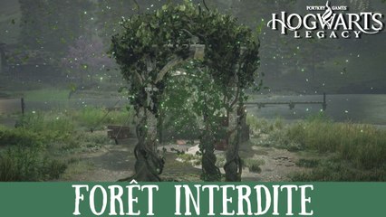 Download Video: Défi de Merlin Hogwarts Legacy, Forêt interdite : Comment résoudre toutes les énigmes de la région ?