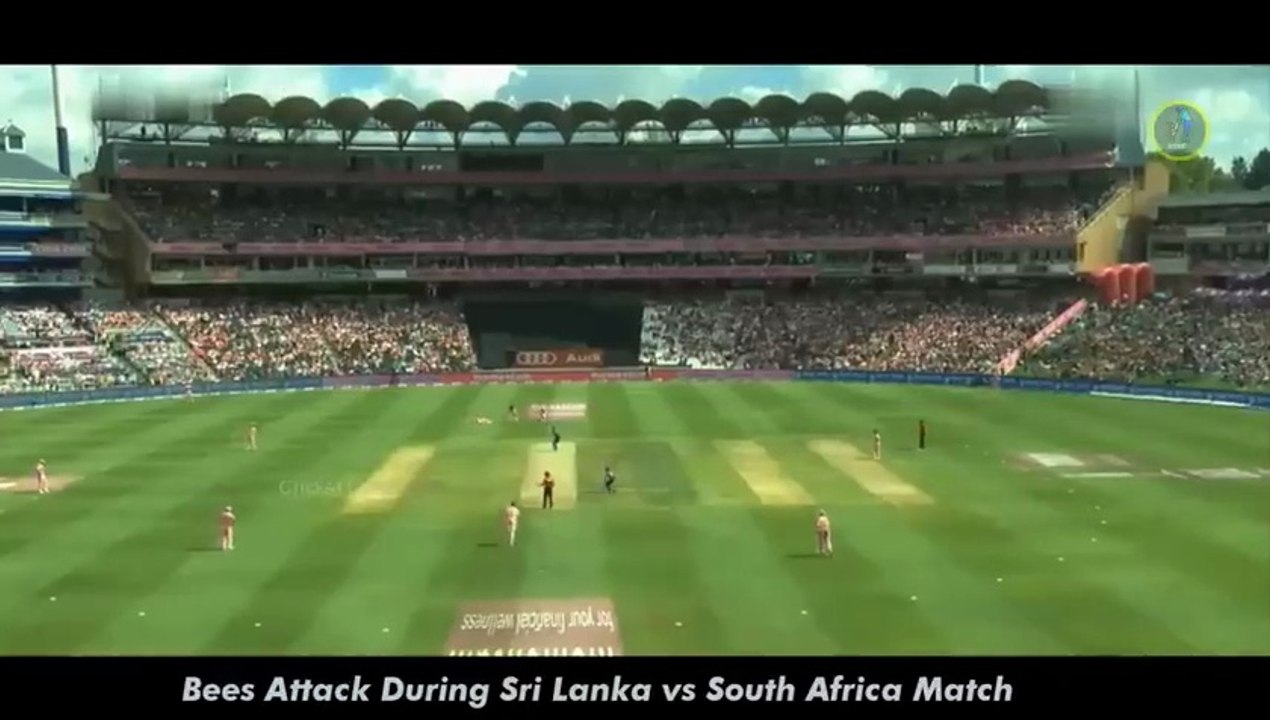 1 in a Trillion Moments in Cricket History