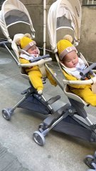 Babies Train | Babies Funny Moments | Cute Babies | Naughty Babies | Funny Babies | Beautiful Babies