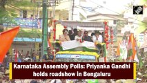 Karnataka Assembly Polls: Priyanka Gandhi holds roadshow in Bengaluru