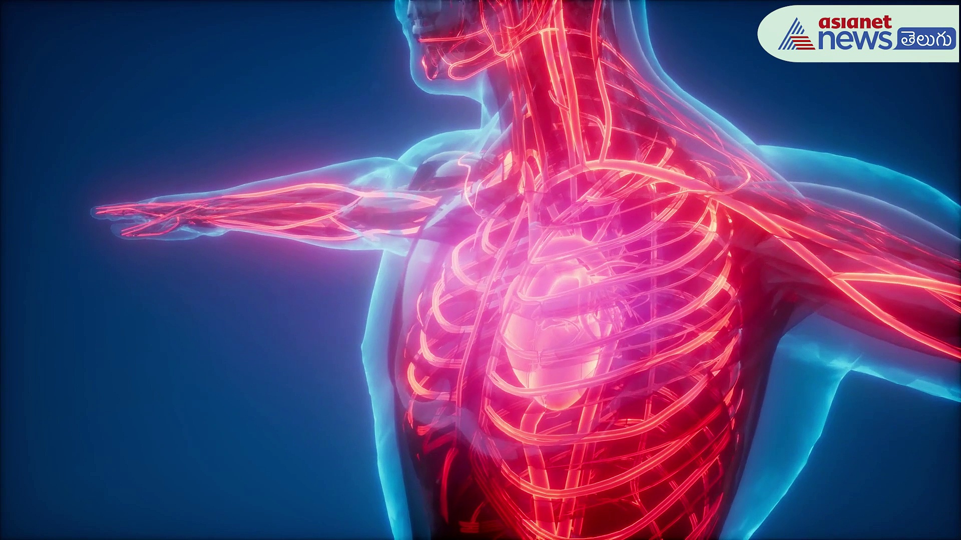 డయాబెటిస్ వచ్చిన వారు బ్రేక్ ఫాస్ట్ లో ఏమి తినాలి..?