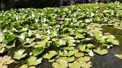 Dokunan yanar! 244 bin TL cezası var