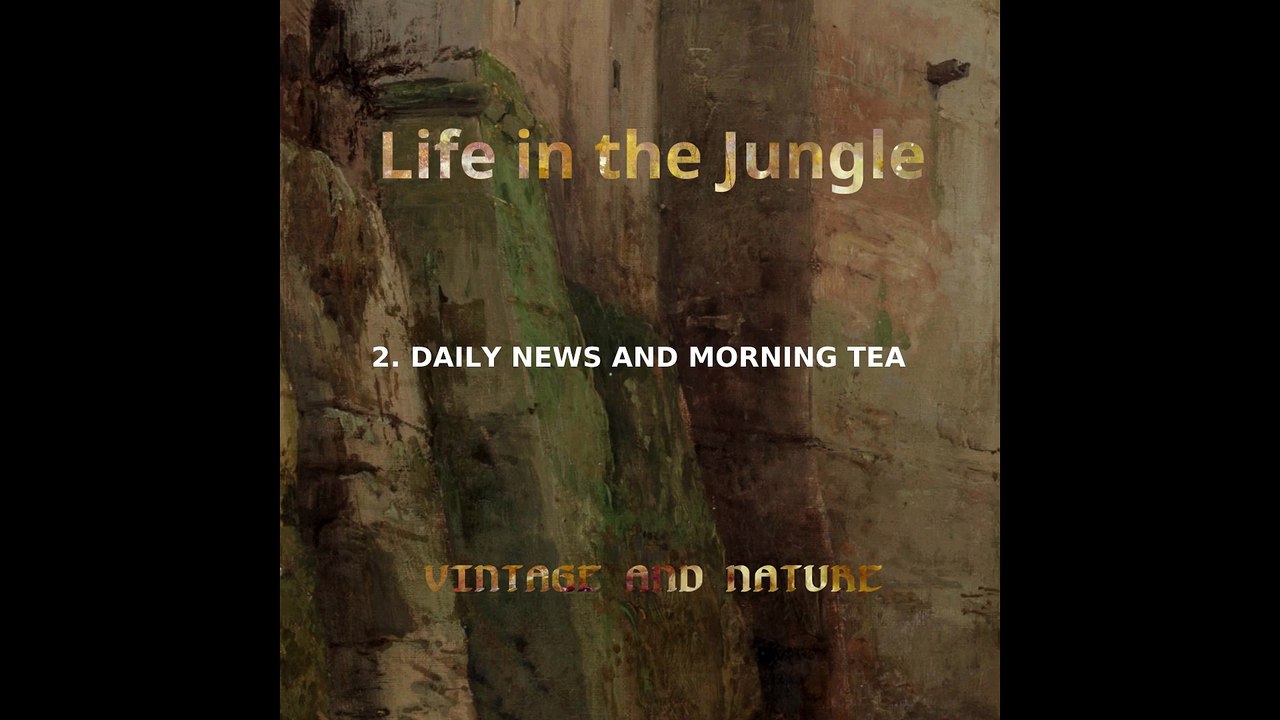 Life in the Jungle (Full Album) - Symphonic Prog & Meditative Jazz