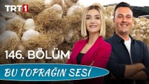 Bu Toprağın Sesi 146. Bölüm – Kastamonu İlı̇mı̇zı̇n Tarım Potansı̇yelı̇ ve Taşköprü Sarımsağı