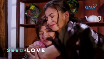 The Seed of Love: The loving sister defends her crippled sister (Episode 1)