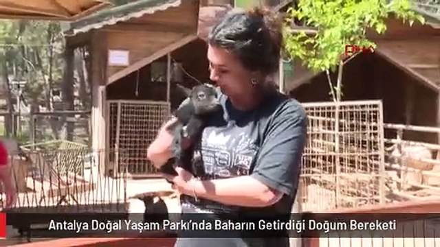 Antalya Doğal Yaşam Parkı'nda Baharın Getirdiği Doğum Bereketi