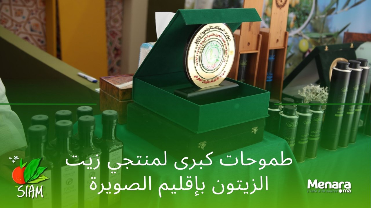 طموحات كبرى لمنتجي زيت الزيتون بإقليم الصويرة