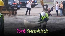 น้องไซแผลงฤทธิ์ ทำช่างปูนกุมขมับ ด้านเจ้าของเหงื่อตกเหนื่อยแน่งานนี้