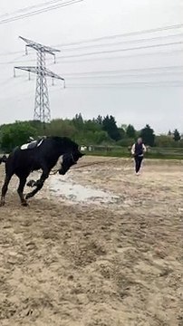 Getti Melam Serial 17.02.2025 Full Episode | Zee Tamil Serials | Zee Tamil Serials Full Episode |