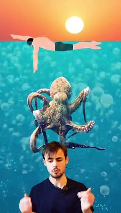 Monstres marins partie 1