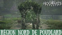 Épreuve de Merlin Hogwarts Legacy, Région nord de Poudlard : Comment résoudre toutes les énigmes de la zone ?