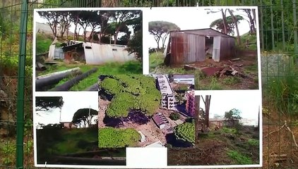 Inaugurata a Montepiselli la pineta con spazio gioco