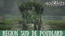 Épreuve de Merlin Hogwarts Legacy, Région Sud de Poudlard : Comment résoudre toutes les énigmes de la zone ?