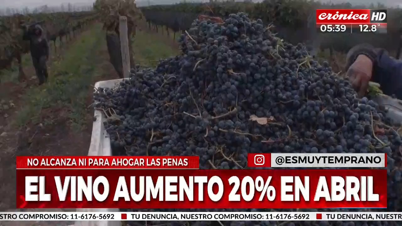Ya no se pueden ni ahogarlas penas: el vino aumentó un 20% en abril
