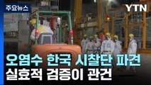 후쿠시마 오염수, 한국 전문가 실사...검증 실효가 관건 / YTN