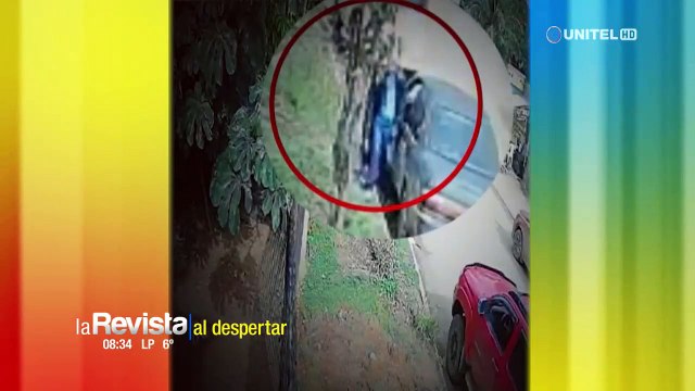 Cámara de seguridad graba cómo robaron accesorios y dinero de un vehículo