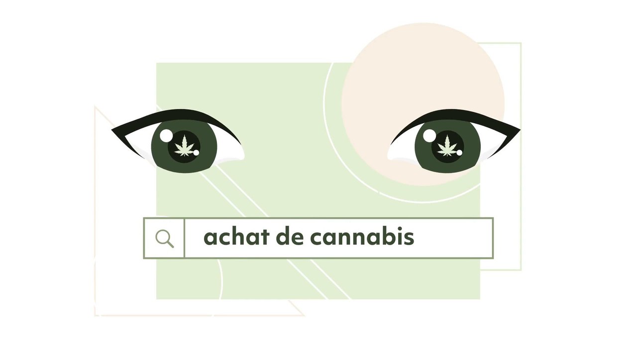Vous achetez du cannabis en ligne ? Assurez-vous de choisir légal