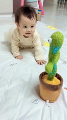 Try Not To Laugh Challenge - Funny Cat & Dog compilation