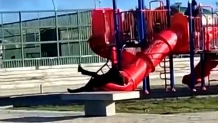 Şili devlet başkanı kaydırakta sıkıştı