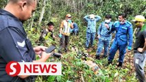 Maintenance worker dies from suspected heatstroke in Sarawak forest