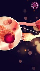 En Morelos suman 7 casos de cáncer de ovario en 2023