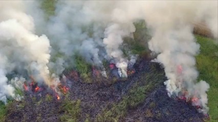 Over 29,000 People Are Evacuated in Canada Due to Wildfires