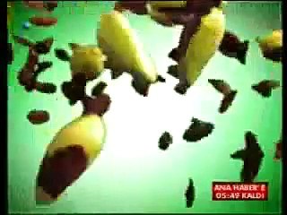 KANAL D 10 MART 2008 REKLAM KUŞAĞI