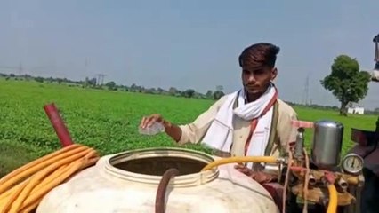 Download Video: Farmers of Narmadapuram are feeding 'alcohol' to moong