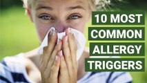 10 Most Common Allergy Triggers