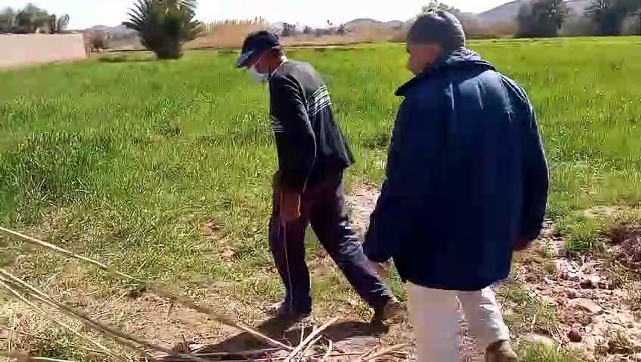 صاحب المزرعة يتصل بالسيد إبراهيم  يطلب المساعدة لوجود أفعى في مزرعته
