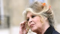 GALA VIDEO - Brigitte Bardot : pourquoi elle ne verra pas la série de France 2 qui lui est consacrée (1)