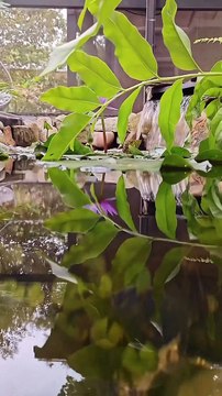 Underwater camera test featuring the iPhone 14 Pro Max vs Galaxy S23 Ultra vs Oneplus 11 Pro vs Xiaomi 13 Pro vs Vivo x90 Pro. Which phone took the best underwater video?