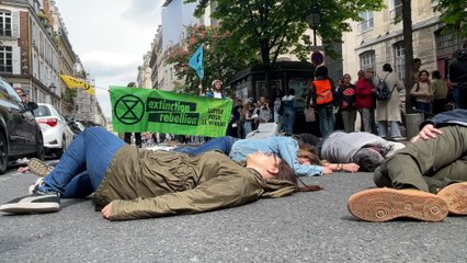 Boutique Shein : l'action d"Extinction Rebellion ne convainc pas les clients de la marque chinoise