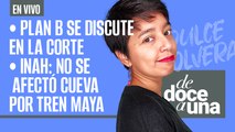 #EnVivo | #DeDoceAUna | Plan B se discute en la Corte | INAH: no se afectó cueva por Tren Maya