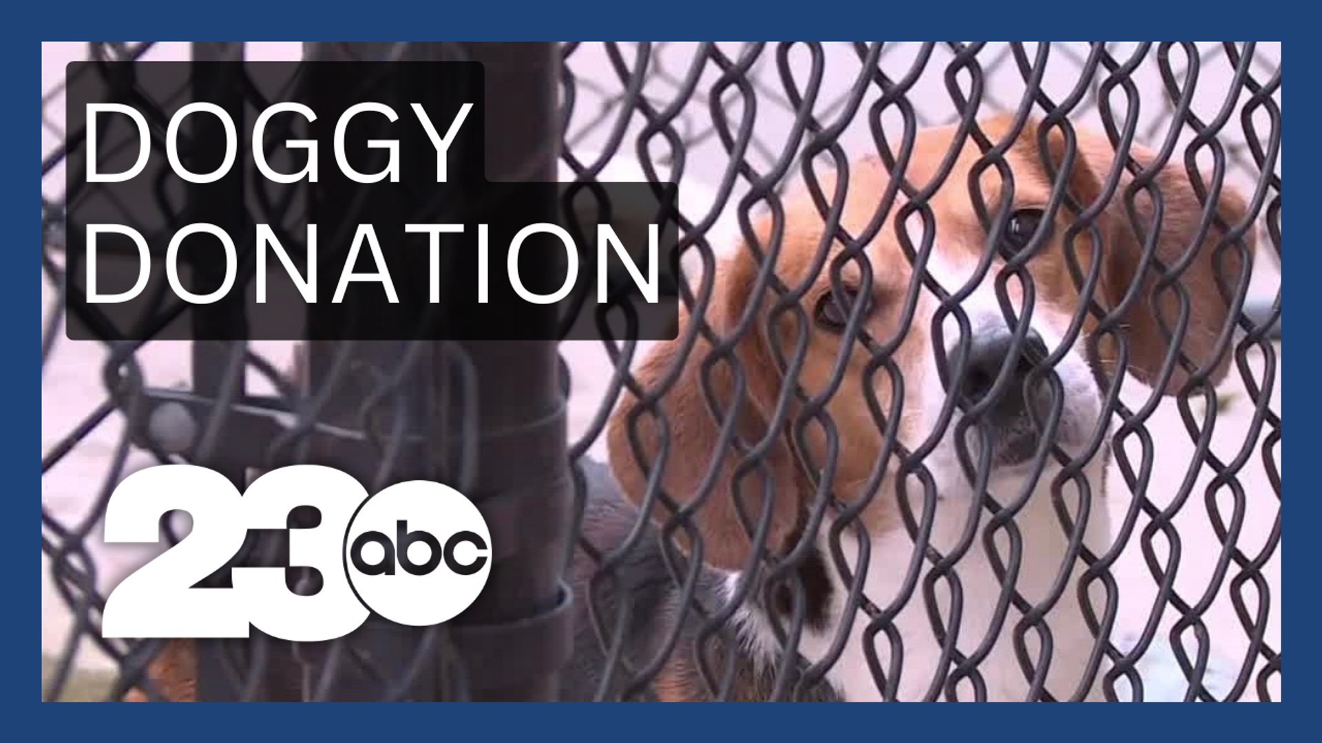 ⁣Virginia elementary school donates to animal shelter