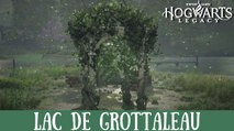 Épreuve de Merlin Hogwarts Legacy, Lac de Grottaleau : Comment résoudre toutes les énigmes de la région ?