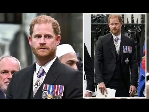 L'unico dolce ricordo del principe Harry che ha riportato a Meghan dall'incoronazione di re Carlo