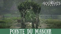 Épreuve de Merlin Hogwarts Legacy, Pointe du manoir : Comment résoudre toutes les énigmes de la région ?