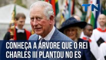 Conheça a árvore que o rei Charles III plantou no Espírito Santo