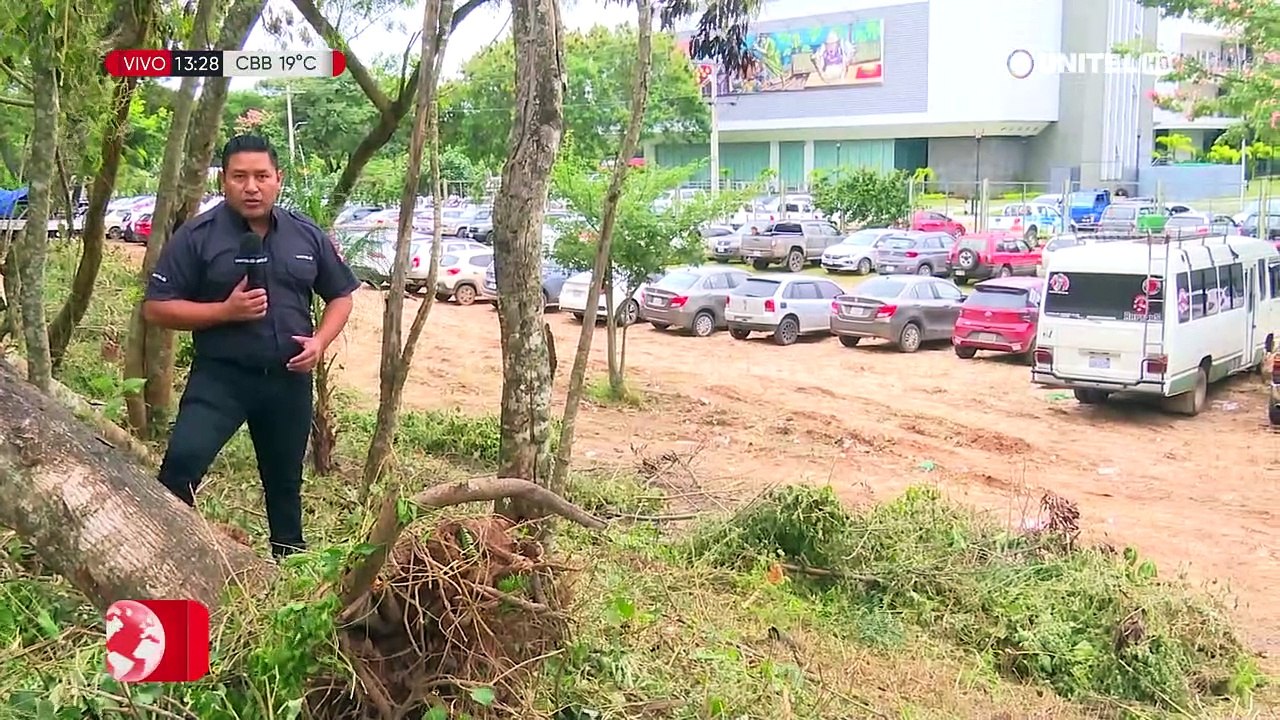 Denuncian tala de árboles en el Cordón Ecológico cruceño, atrás de la Quinta Municipal
