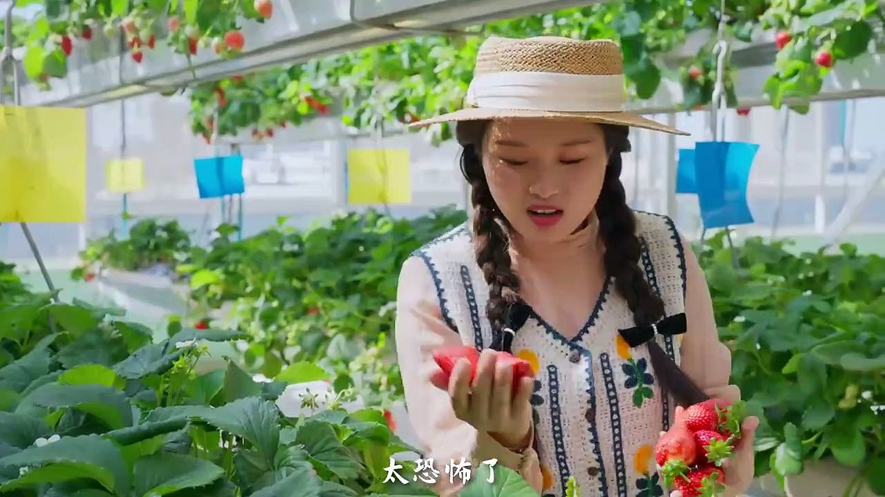 One Fruit for a Table: Colorful Strawberries in Colorful Yunnan: Which One Is Your Favorite?