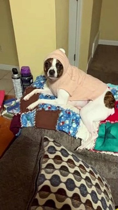 Princess loves her hoodie sweater