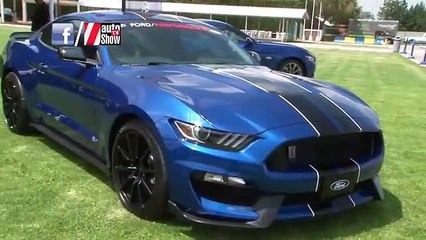 Ford Performance Sport